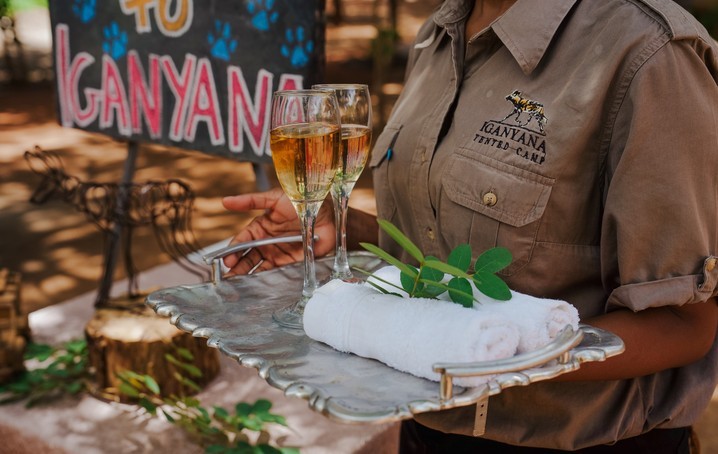 Iganyana Tented Camp staff member welcoming guests with champagne and chilled towels on arrival, Hwange National Park, Zimbabwe