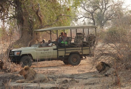 Royal Zambezi Lodge game drive vehicle surrounded by lions on a private concession, Lower Zambezi National Park, Zambia