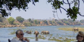 Guests enjoying sundowners on the Zambezi bank while elephants wade across the river at Royal Zambezi Lodge, Lower Zambezi, Zambia
