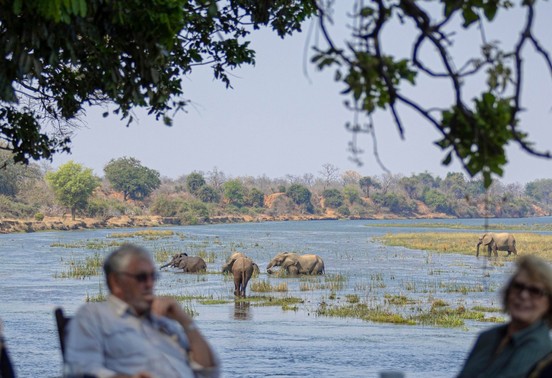 Guests enjoying sundowners on the Zambezi bank while elephants wade across the river at Royal Zambezi Lodge, Lower Zambezi, Zambia