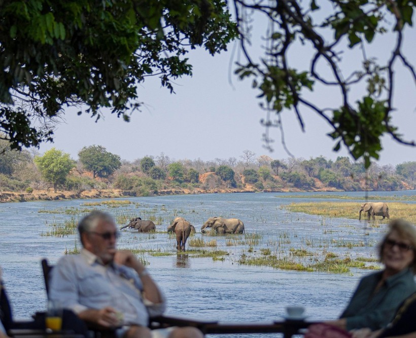 Guests relaxing riverside at Royal Zambezi Lodge while a herd of elephants wades across the Zambezi River, Lower Zambezi, Zambia
