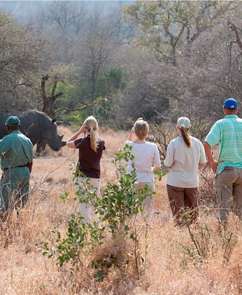 Group of guests walking close to white rhino with a guide in Mosi-oa-Tunya National Park, Livingstone, Zambia