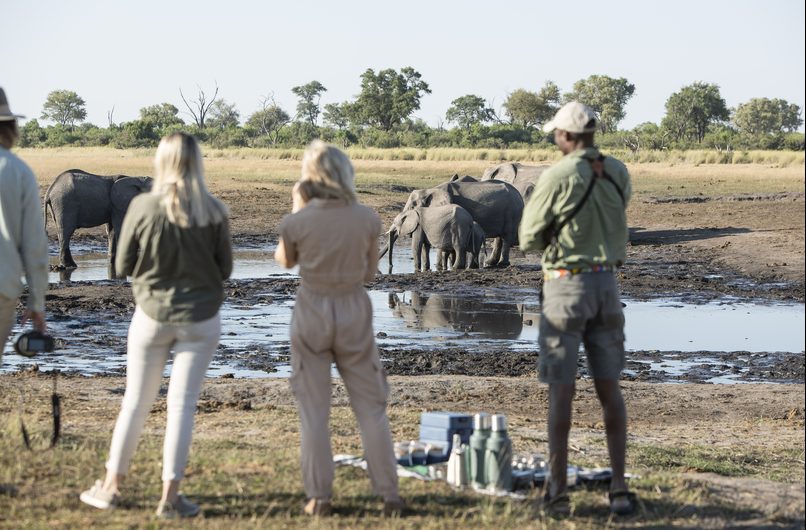 Guests and a guide standing at a waterhole watching a herd of elephants drink, with a bush breakfast laid out behind them, Okavango Delta, Botswana