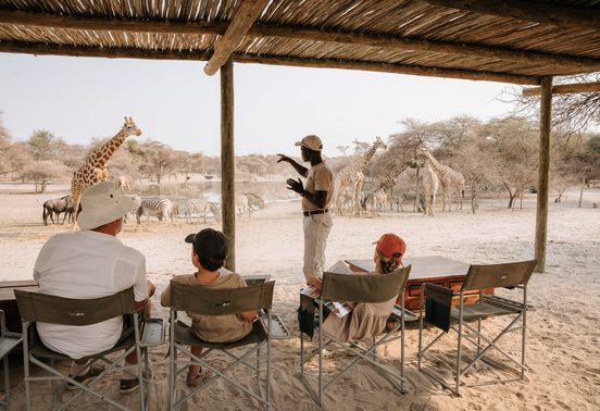 Safari guide pointing out giraffes and zebras at a waterhole to guests seated under a thatched shelter at Thamo Telele, Botswana