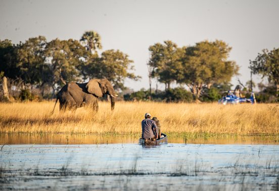 Four guests standing on foot watching a herd of elephants at a waterhole in the Okavango Delta, Botswana