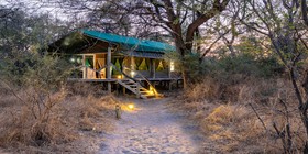 Lantern-lit pathway leading to an elevated safari tent at dusk at Thamo Telele, Okavango Delta, Botswana